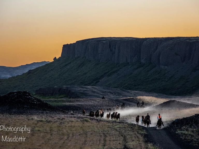 Horseback Riding Tour - 2 hour tour.